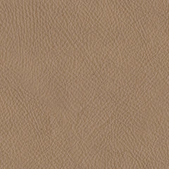 38006/46(2)/49/55 : 38006S6