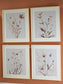 Chettings Wall Art Set (4/CN)